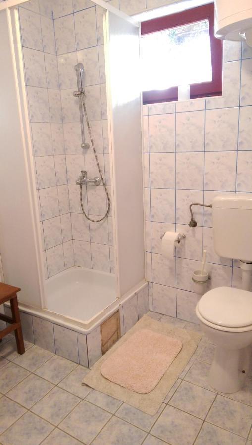 Apartman Knezevic Διαμέρισμα Rukavac  Εξωτερικό φωτογραφία