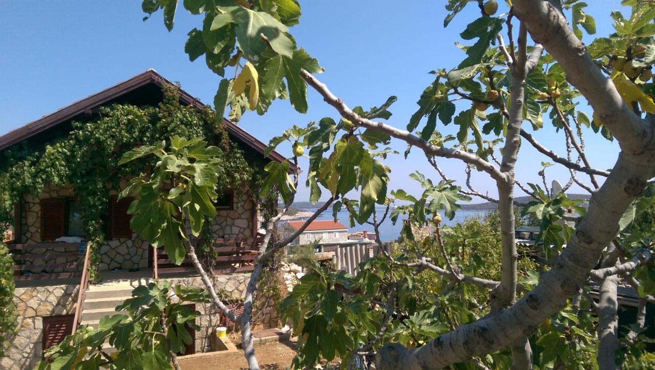 Apartman Knezevic Διαμέρισμα Rukavac  Εξωτερικό φωτογραφία